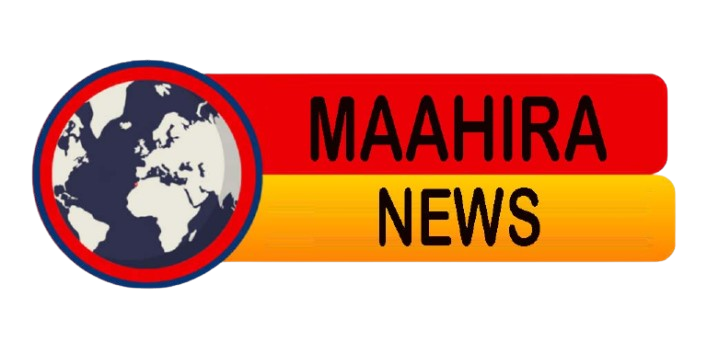 145236587-removebg-preview